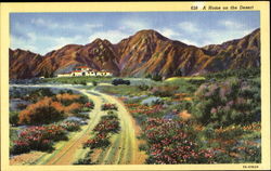 A Home On The Desert Postcard
