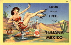 Look What I Fell Into In Tijuana Mexico Postcard Postcard