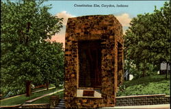 Constitution Elm Postcard