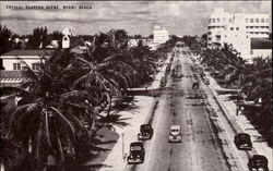 Typical Florida Scene Postcard