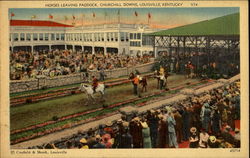 Horses Leaving Paddock Postcard