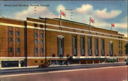 Maple Leaf Gardens Postcard