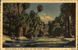 Along The Stream Postcard