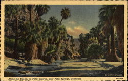 Along The Stream Palm Springs, CA Postcard Postcard