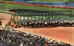 Hialeah Park Dog Racing Postcard Postcard