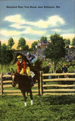 Maryland Hunt Cup Races Baltimore, MD Postcard Postcard