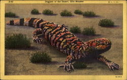 Denizen Of The Desert Gila Monster Postcard