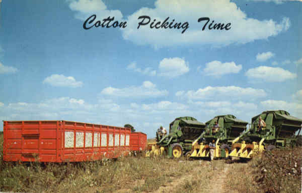 Cotton Picking Time Farming
