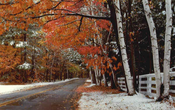 North Road Shelburne New Hampshire