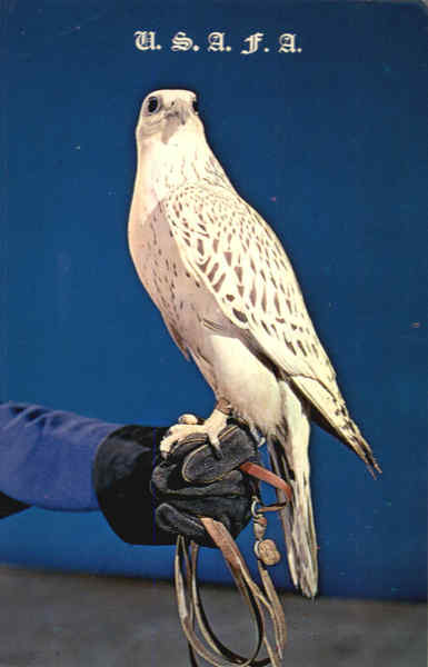 Falcon Prepared For Flight United States Air Force Academy