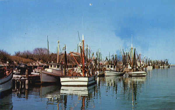 Shrimp Boats Boats, Ships