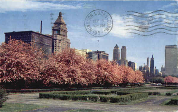Chicago Skyline Illinois