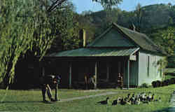 Jack Daniel's Old Office Lynchburg, TN Postcard Postcard