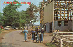 Amish Barn-Raising Postcard
