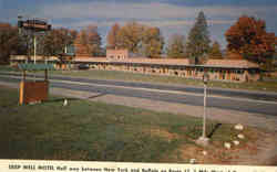 Deep Well Motel & Restaurant Owego, NY Postcard Postcard