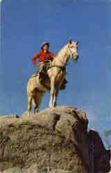 A Cowboy And His Palomino Postcard