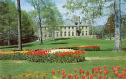 Tulips - Kingwood Center, Park Avenue West Tulips - Kingwood Center, Park Avenue West