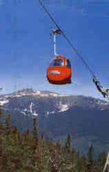 Wildcat Mountain Gondola, Pinkham Notch Postcard