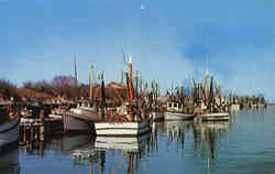 Stock #17654 Thumbnail