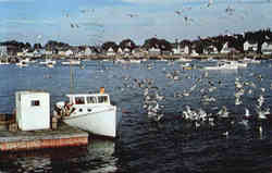 Staunch Craft Carver's Harbor Vinalhaven, ME Postcard Postcard