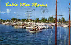 Bahia Mar Marina Postcard