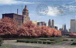 Chicago Skyline Postcard