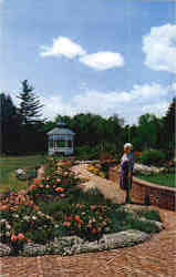 In the Garden Postcard