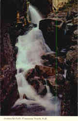 Avalanche Falls at the Flume Franconia Notch Postcard