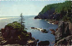 Cliffs at West Quoddy Head West Quoddy Head Light, ME Postcard Postcard