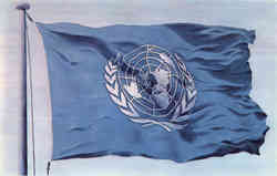 The Flag of the United Nations Postcard