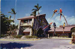 Parrot Jungle Miami, FL Postcard Postcard