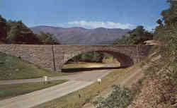 Blue Ridge Parkway - Mt. Mitchell Buck Creek Gap, NC Postcard Postcard