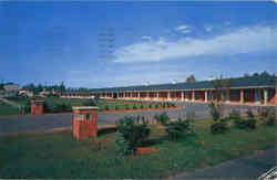 El Berta Motel and Restaurant, Market St. Postcard