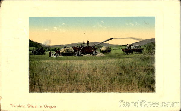 Threshing Wheat In Oregon Scenic