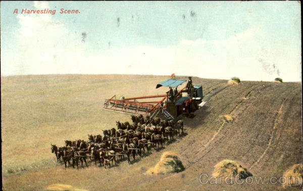 A Harvesting Scene Horse-Drawm Thresher Farming