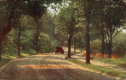 Kenwood Parkway Postcard