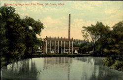 Mineral Springs Near Pine River St. Louis, MI Postcard Postcard
