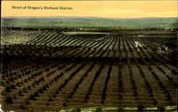 Heart Of Oregon's Orchard District Postcard