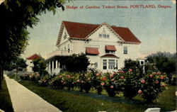 Hedge Of Carolina Testout Roses Postcard