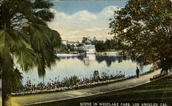 Scene In Westlake Park Postcard
