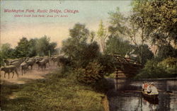 Washington Park Rustic Bridge Postcard