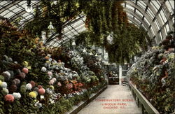 Stock #113056 Thumbnail