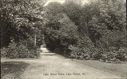 Lake Shore Drive Lake Forest, IL Postcard Postcard