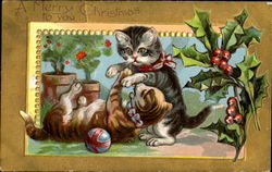 Kittens A Merry Christmas To You Postcard