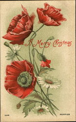 Poppies A Merry Christmas Postcard