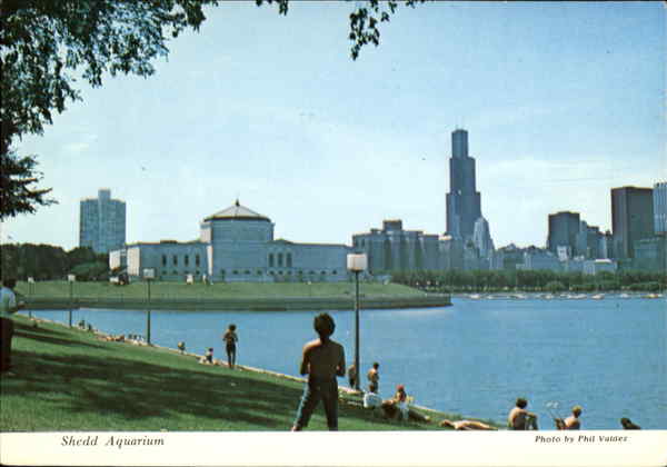 Shedd Aquarium Chicago Illinois