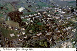 The University Of Idaho Moscow