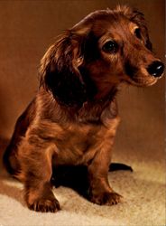 Stock #113330 Thumbnail