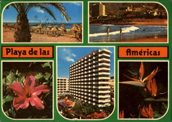 Tenerife Canariasplaya De Las Americas Postcard