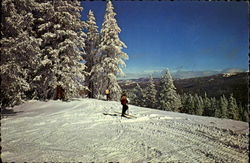 Brian Head Ski Resort Postcard